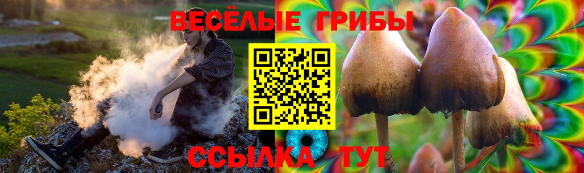 Южноуральск  Псилоцибиновые грибы мухоморы  Вход с VPN 